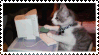 cat type